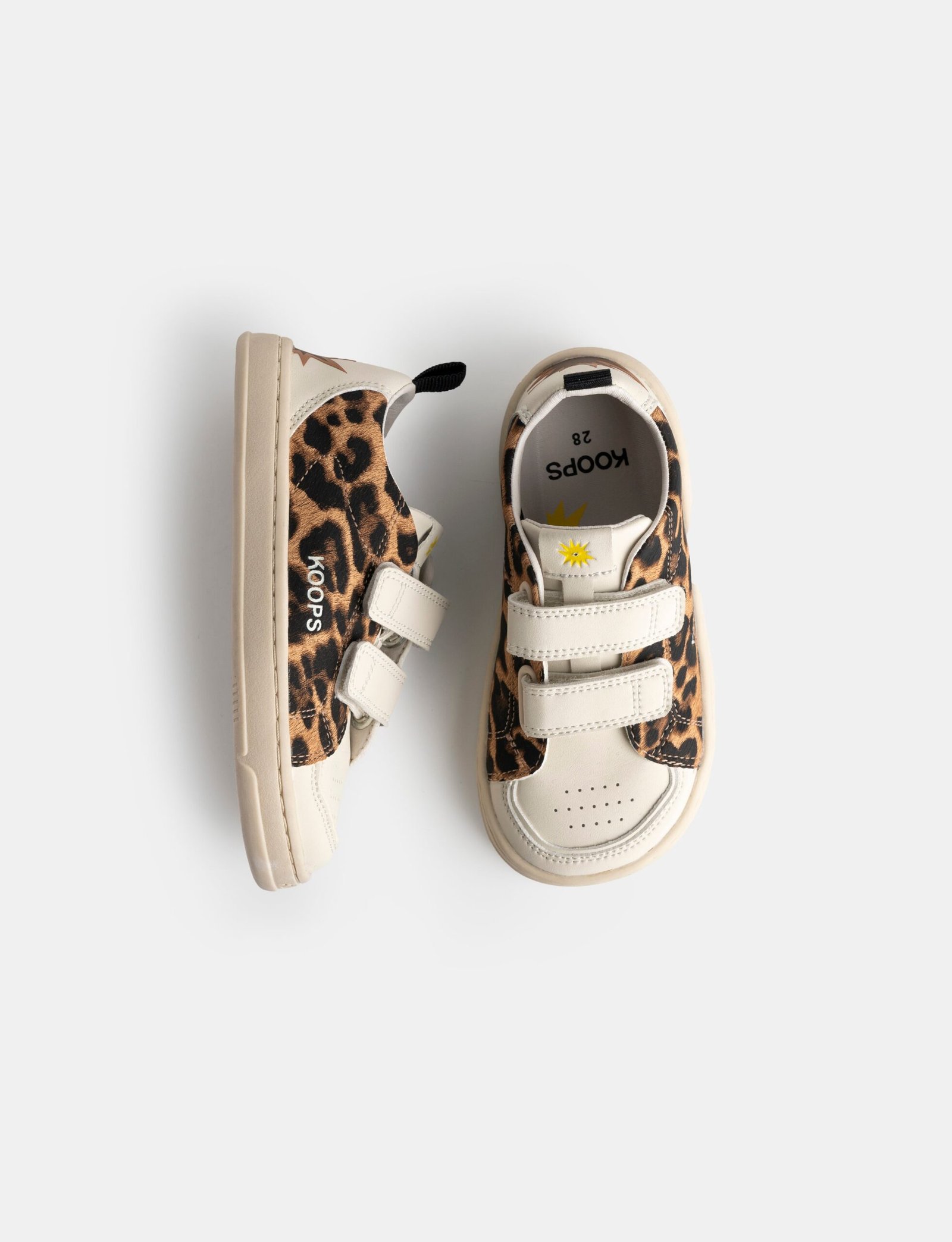 Koops Rafi Leopardo