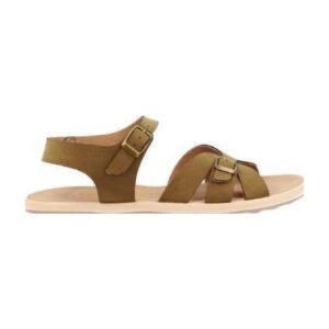 CoqueFlex Aster Olive