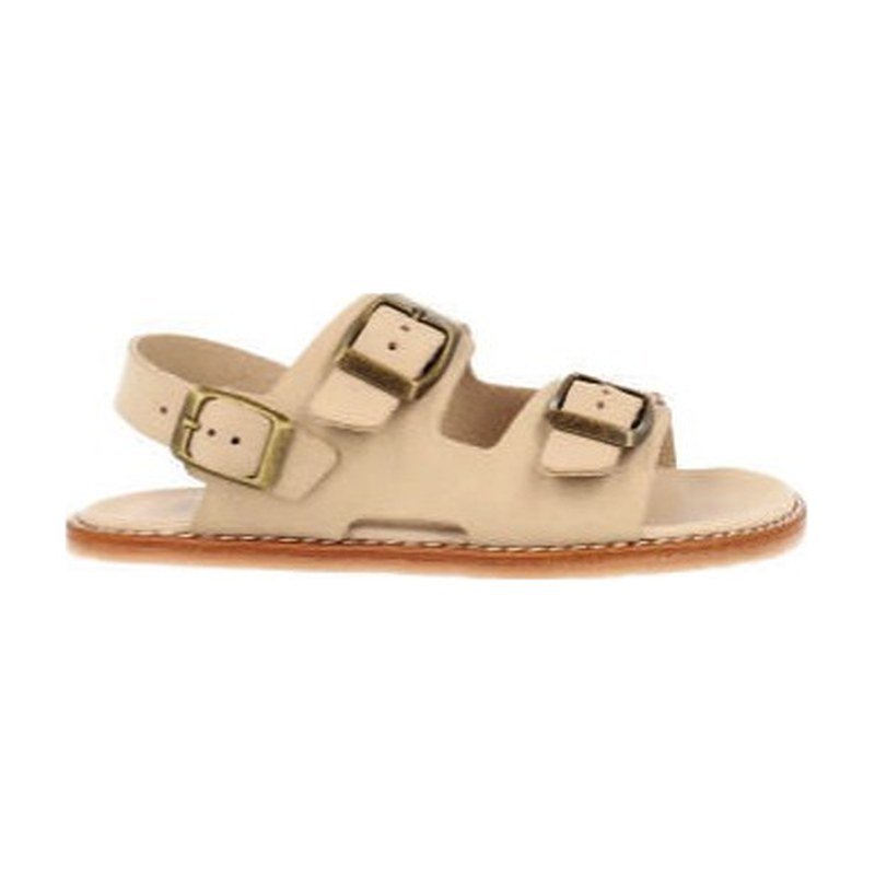 CoqueFlex Bruno Biscuit Jr