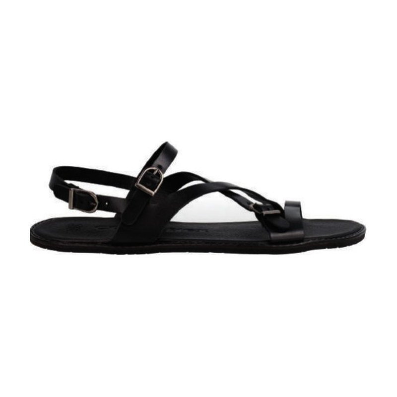 CoqueFlex Naor Shadow