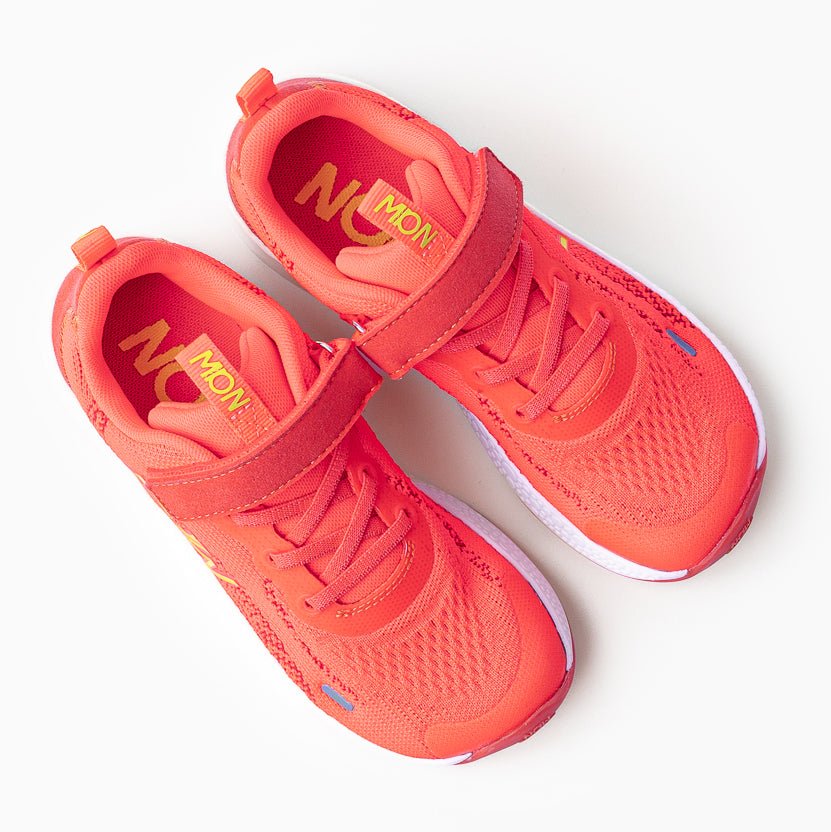 Naw Dragon Fire Kids vista 3