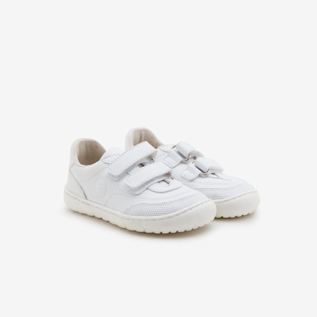 CoqueFlex Root Superwhite