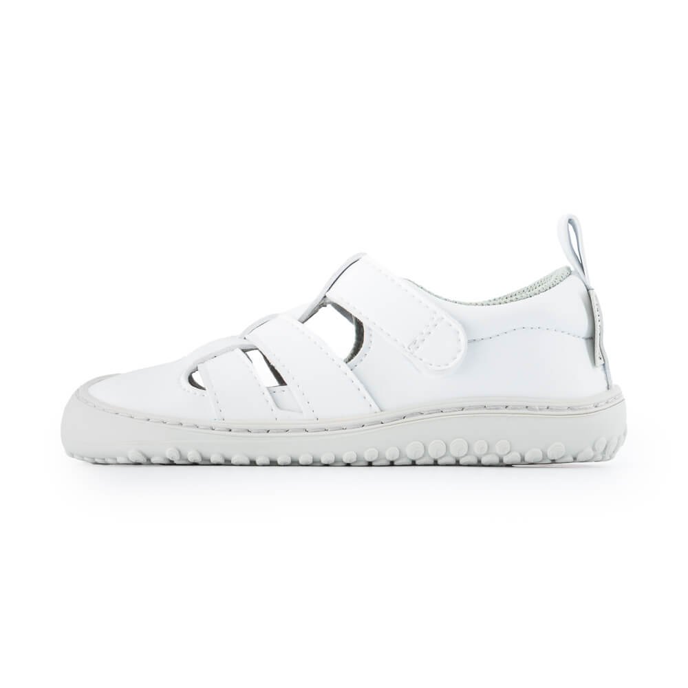 Zapato Feroz Irta Rocker SS25